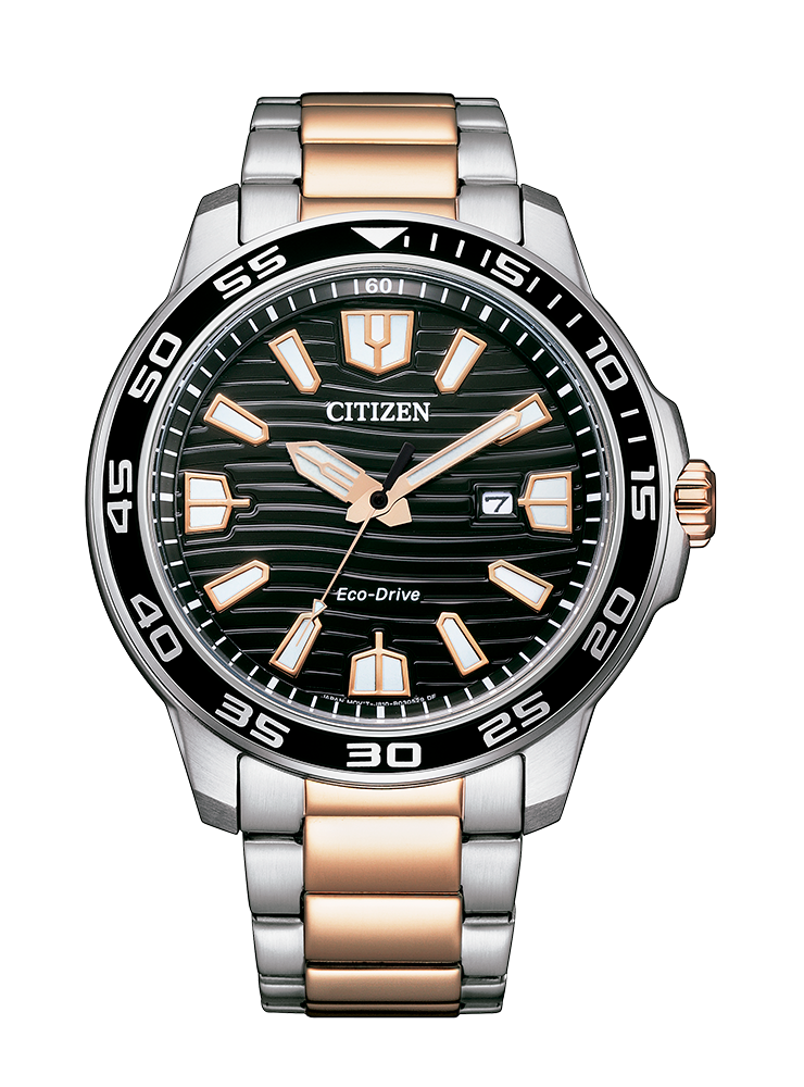 Relógio CITIZEN Of Collection SIMPLES AW1524-84E